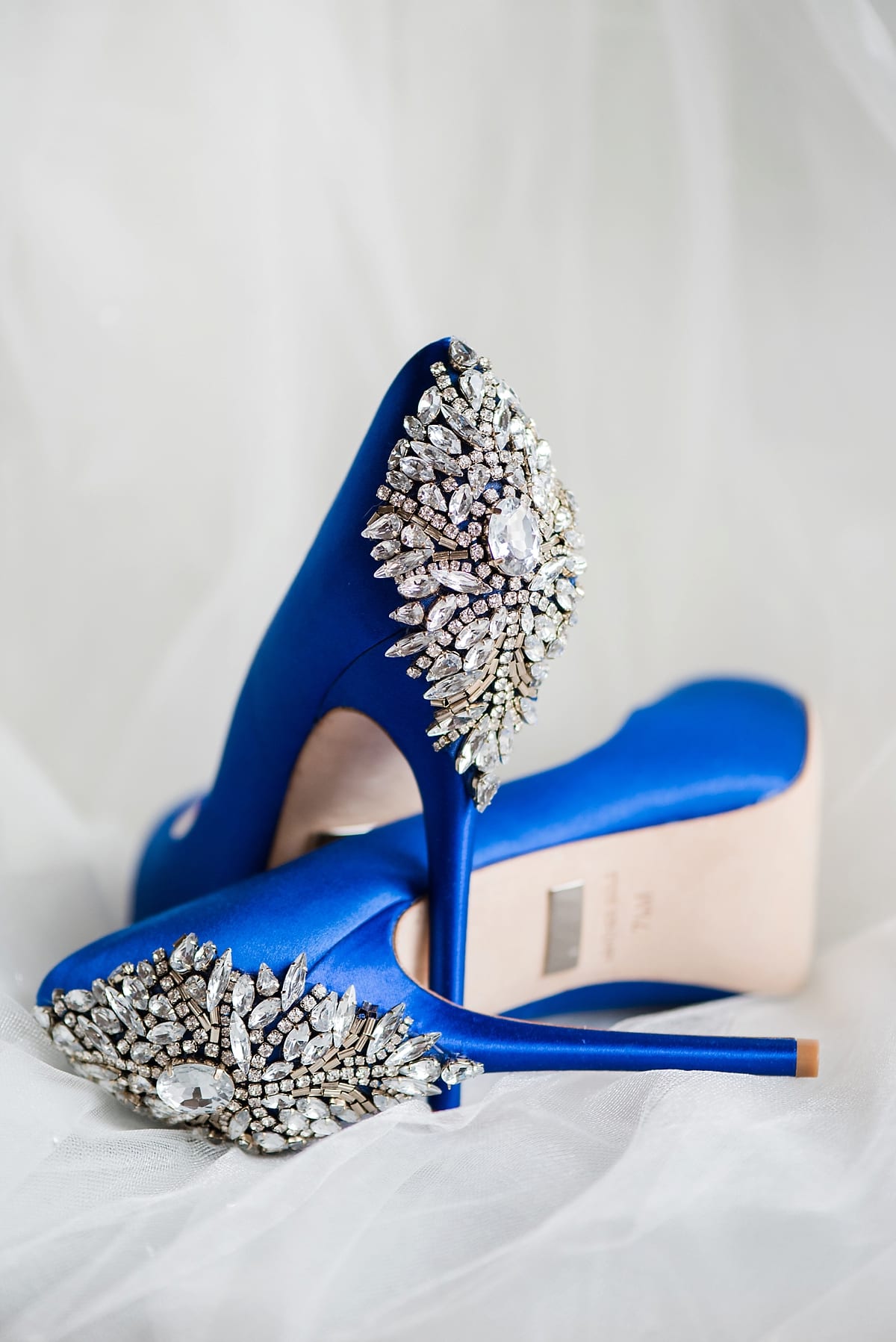 Royal-Blue-and-Gold-Wedding_0327