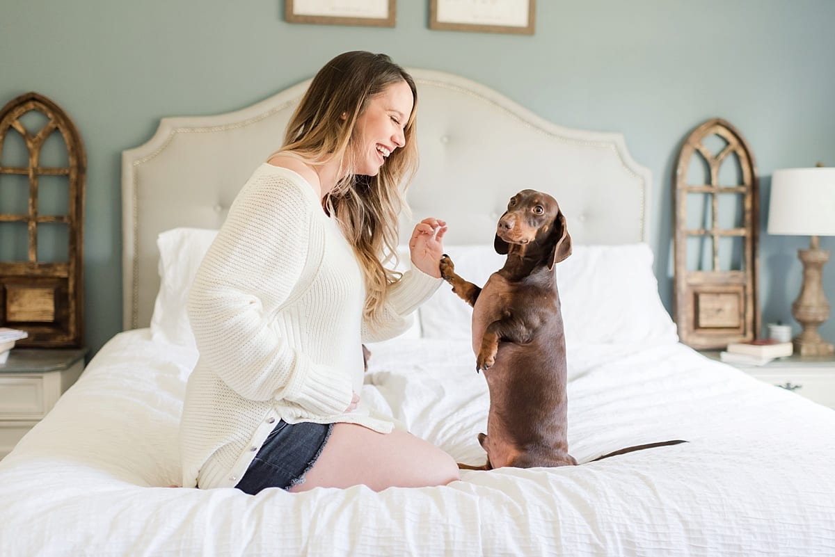 maternity session with dogs