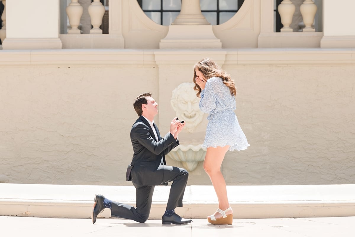 palm beach proposal pictures